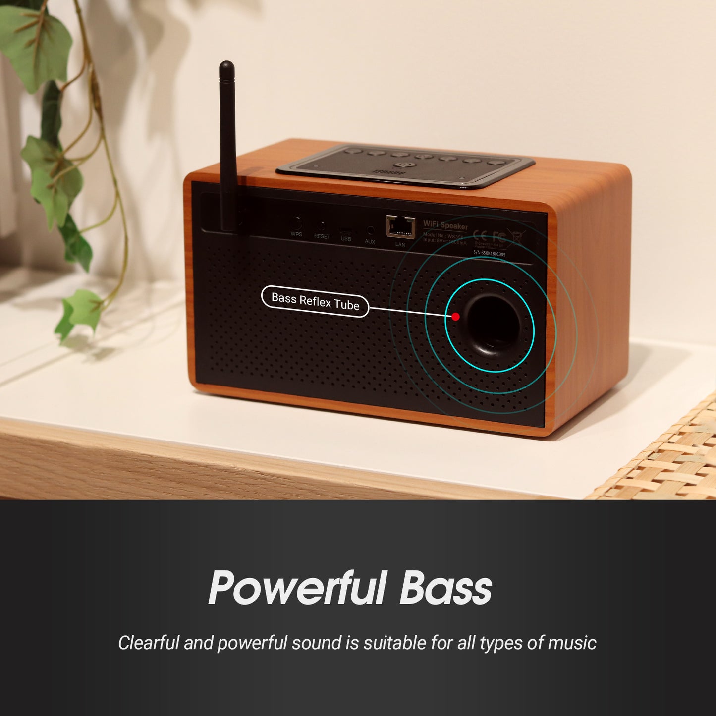 [B-Ware] Tragbares Bluetooth WiFi Radio Stereo Multiroom App Steuerung - August WS350K